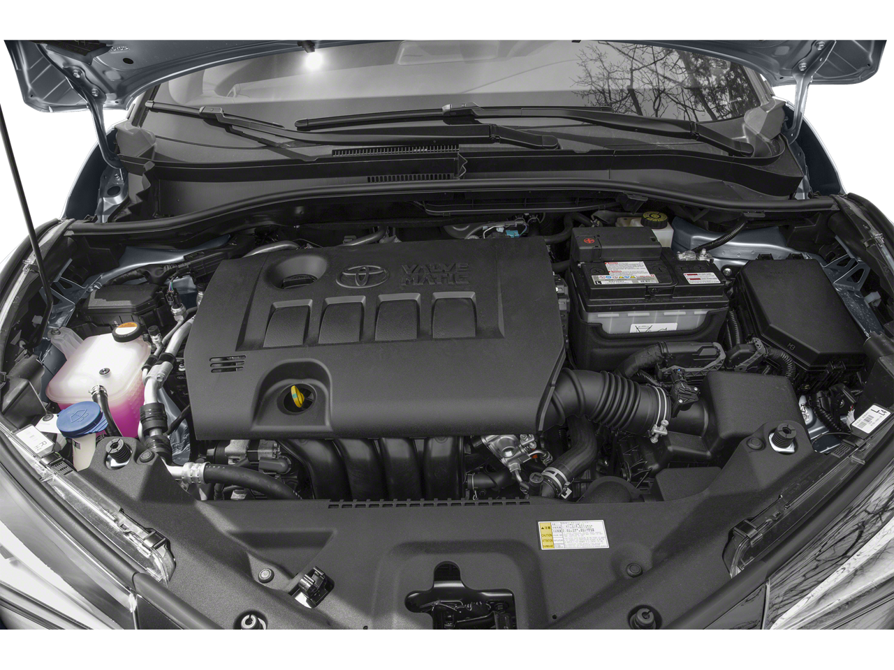 2019 Toyota C-HR Limited