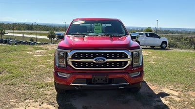 2021 Ford F-150 Platinum