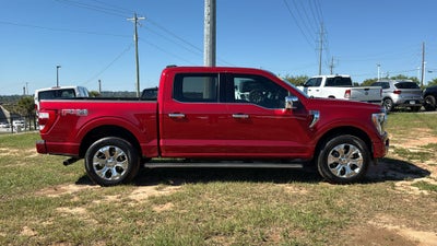 2021 Ford F-150 Platinum