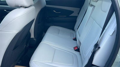 2025 Hyundai SANTA CRUZ Limited