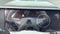 2027 Hyundai PALISADE HYBRID Blue SEL Premium 7P